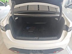 BYD Destroyer 05 Glory Edition DM-i 55KM Luxury - ფოტო 18