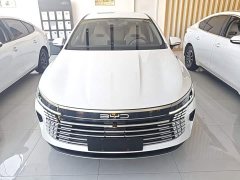 BYD Destroyer 05 Glory Edition DM-i 55KM Luxury - ფოტო 2