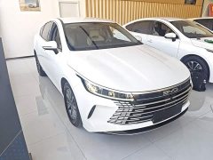 BYD Destroyer 05 Glory Edition DM-i 55KM Luxury - ფოტო 3