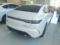 BYD Destroyer 05 Glory Edition DM-i 55KM Luxury - ფოტო 6