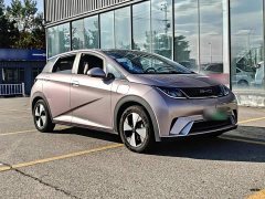 BYD Dolphin 420km Fashion Edition - ფოტო 3