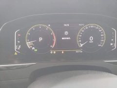 Volkswagen Magotan 330TSI DSG Luxury - ფოტო 11
