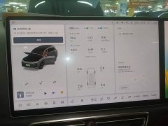 Li Auto L8 Pro - ფოტო 11