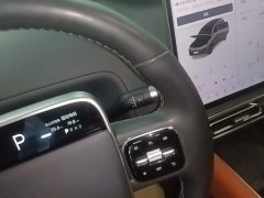 Li Auto L8 Pro - ფოტო 13