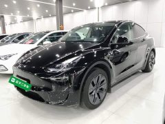 Tesla Model Y Rear-Wheel Drive - ფოტო 1