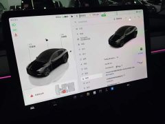 Tesla Model Y Rear-Wheel Drive - ფოტო 11