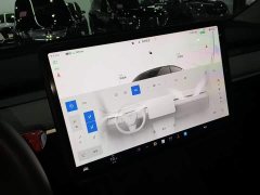 Tesla Model Y Rear-Wheel Drive - ფოტო 12