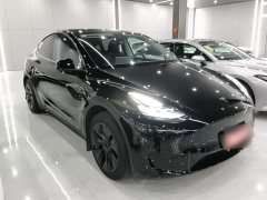 Tesla Model Y Rear-Wheel Drive - ფოტო 3