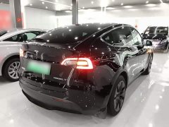 Tesla Model Y Rear-Wheel Drive - ფოტო 6