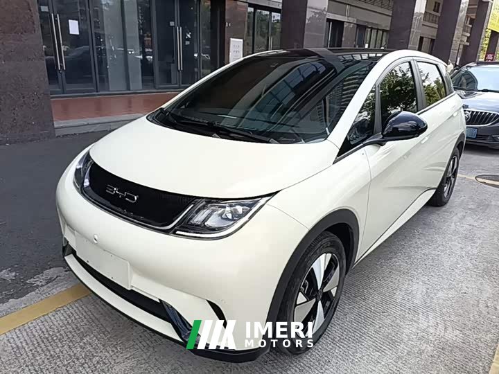 BYD Dolphin 420km Fashion Edition - ავტომობილი ჩინეთიდან