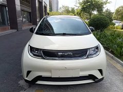 BYD Dolphin 420km Fashion Edition - ფოტო 2