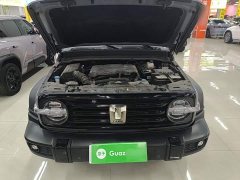 Tank 300 Off-Road Edition 2.0T Conqueror - ფოტო 19