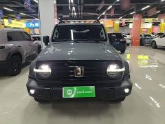 Tank 300 Off-Road Edition 2.0T Conqueror - ფოტო 2