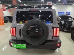Tank 300 Off-Road Edition 2.0T Conqueror - ფოტო 5