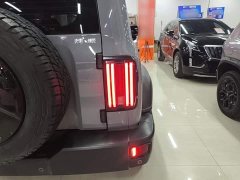 Tank 300 Off-Road Edition 2.0T Conqueror - ფოტო 7