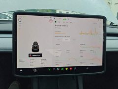 Tesla Model Y Rear-Wheel Drive - ფოტო 11