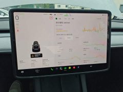 Tesla Model Y Rear-Wheel Drive - ფოტო 12