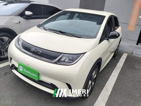2026 BYD Dolphin 420km Freedom Edition - ავტომობილი ჩინეთიდან