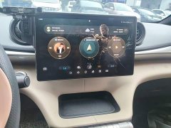 BYD Dolphin 420km Freedom Edition - ფოტო 12