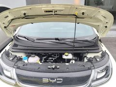 BYD Dolphin 420km Freedom Edition - ფოტო 19