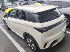 BYD Dolphin 420km Freedom Edition - ფოტო 4
