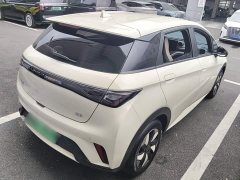 BYD Dolphin 420km Freedom Edition - ფოტო 6