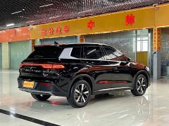 BYD Song Pro New Energy DM-i 110KM Glory Edition Exceed - ფოტო 4