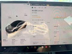 Tesla Model 3 Rear-Wheel Drive - ფოტო 16