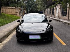 Tesla Model 3 Rear-Wheel Drive - ფოტო 2