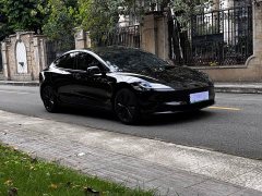 Tesla Model 3 Rear-Wheel Drive - ფოტო 3