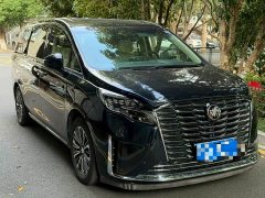 Buick GL8 ES Land Respect 653T Premier - ფოტო 3
