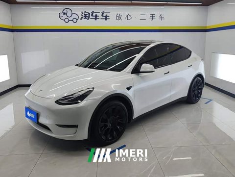 2021 Tesla Model Y Standard Range RWD - ავტომობილი ჩინეთიდან
