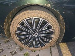 Geely Galaxy Xingyao 8 130km EM-P Starship Edition - ფოტო 8