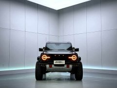 Ford Mustang 2.3T Dark Diamond Off-Road Edition - ფოტო 2