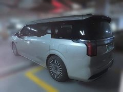 Zeekr 009 WE Edition - ფოტო 4