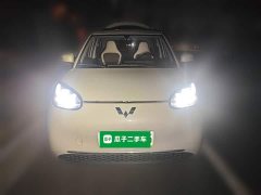 Wuling Binguo 333km Joy Edition - ფოტო 2