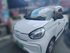 SAIC Corey Wei CLEVER 302km New Four-Seat Super Version - ფოტო 1