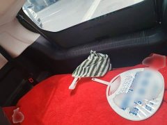 SAIC Corey Wei CLEVER 302km New Four-Seat Super Version - ფოტო 13