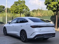BYD Seal 06 DM-i 120KM Flagship - ფოტო 18