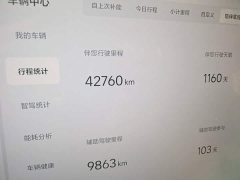 Li Auto L7 Air - ფოტო 8