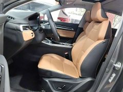 Geely Emgrand 4th Generation 1.5L CVT Flagship - ფოტო 9