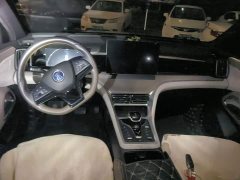 BYD Song Pro New Energy Champion Edition DM-i 110KM Excellence - ფოტო 10