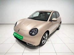 ORA Good Cat 401km Standard Range Deluxe Edition LFP Battery - ფოტო 1