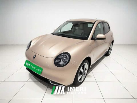 2023 ORA Good Cat 401km Standard Range Deluxe Edition LFP Battery - ავტომობილი ჩინეთიდან