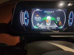 ORA Good Cat 401km Standard Range Deluxe Edition LFP Battery - ფოტო 8