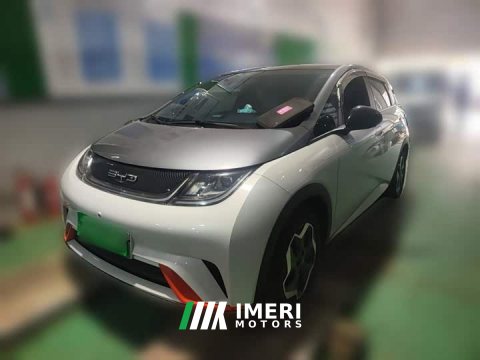 2022 BYD Dolphin 405km Fashion Edition - ავტომობილი ჩინეთიდან