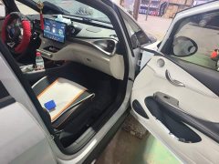 BYD Dolphin 405km Fashion Edition - ფოტო 19