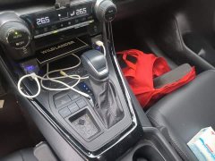 Toyota Wildland 2.0L CVT FWD Luxury Plus - ფოტო 10