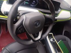 Changan Benben E-Star Heartbeat Edition Ternary Lithium - ფოტო 6