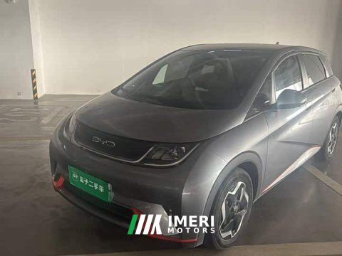 2022 BYD Dolphin 405km Fashion Edition - ავტომობილი ჩინეთიდან